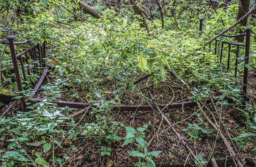 Old bed frame in abandoned Stechanka village in Chernobyl Exclusion Zone, Ukraine