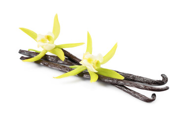 Vanilla pods and beautiful flowers isolated on white