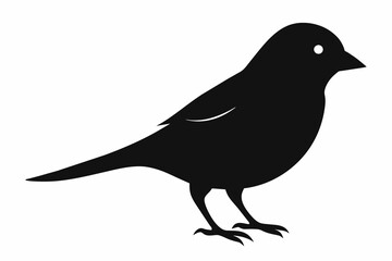 Sparrow silhouette on white background