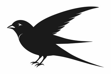 Sparrow silhouette on white background