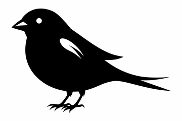 Sparrow silhouette on white background