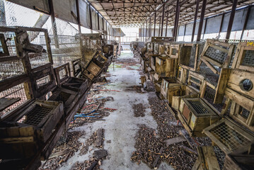 Hatching cages in abandoned Radioecology Laboratory in former fish farm in Chernobyl Exclusion Zone, Ukraine - obrazy, fototapety, plakaty