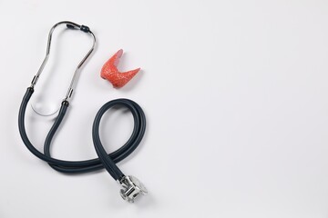 Endocrinology. Stethoscope and model of thyroid gland on white background, top view. Space for text
