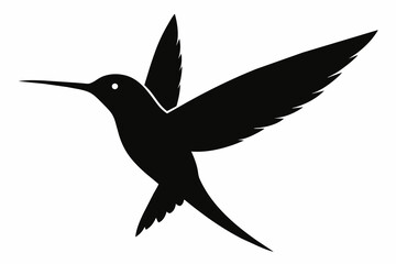 Hummingbird silhouette on white background