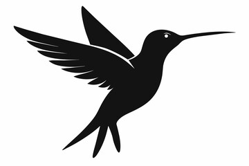 Hummingbird silhouette on white background