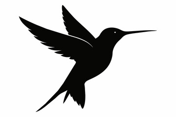 Hummingbird silhouette on white background