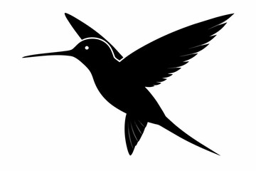 Hummingbird silhouette on white background