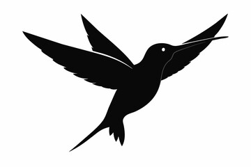 Hummingbird silhouette on white background