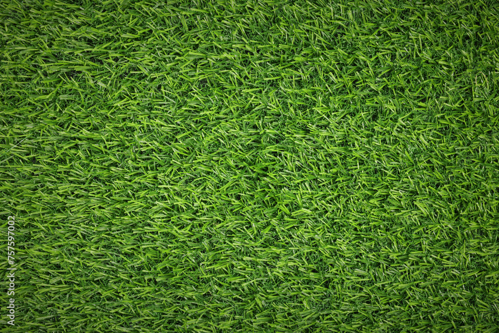 Wall mural fresh green grass as background outdoors, top view