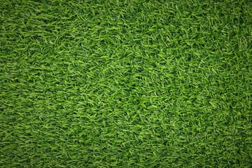 Obraz premium Fresh green grass as background outdoors, top view