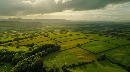 Green fields of Ireland, aerial view, nature background, copy space, 16:9