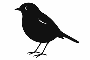 Robin silhouette on white background
