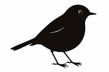 Robin silhouette on white background