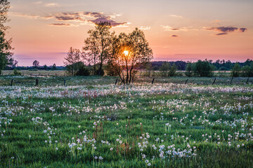 Sunset over meadow in village in Masovia region of Poland