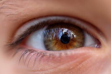 Child's human Eye. Macro brown eye