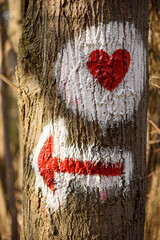 Hiking marking on a tree in the woods. Symbol of arrow and heart in nature