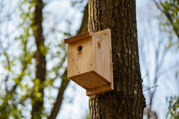 Wooden bird house in the woods