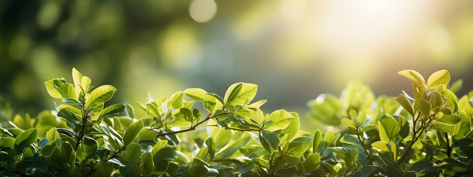 arbor day background