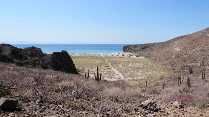 Paisaje desértico de Baja California Sur