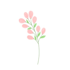 pink flower on transparent background