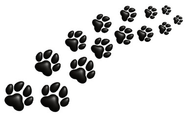 Fototapeta premium Black paw path on white background