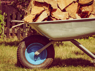 Firewood in wheelbarrow.