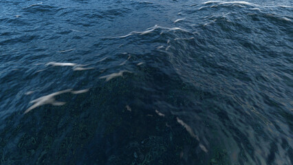 Ocean waves with foam