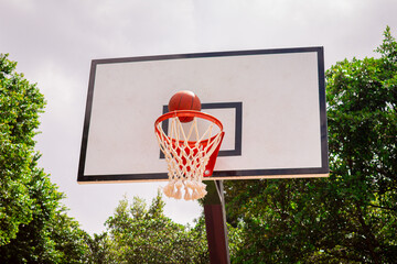 Low view of basketball backboard in green park