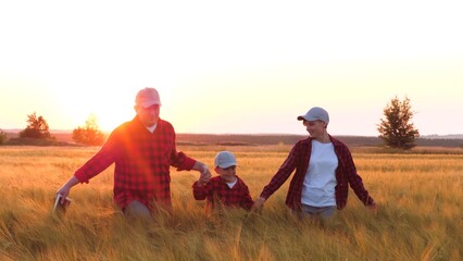 Happy farmer family with child sprints in country wheat field. Father mother and son holds hands...