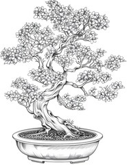 bonsai black and white illustration