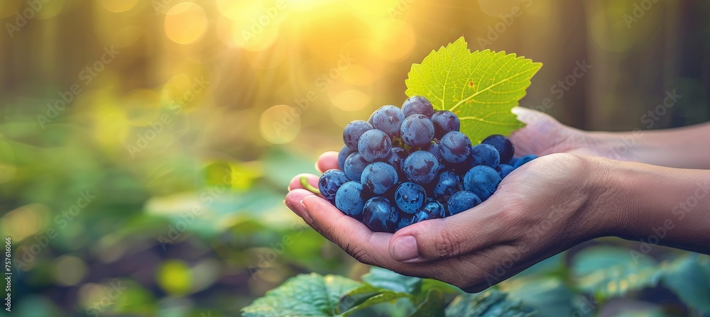 Poster hand holding fresh grapes on blurred background with copy space for text placement