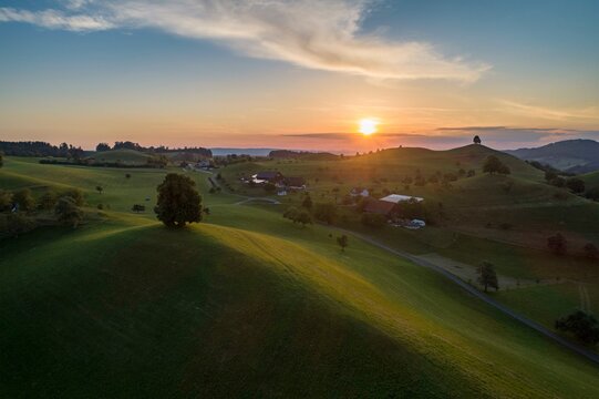 Sunset with lime tree on Drumlinhuegel, drone picture, Menzingen, Canton Zug, Switzerland, Europe