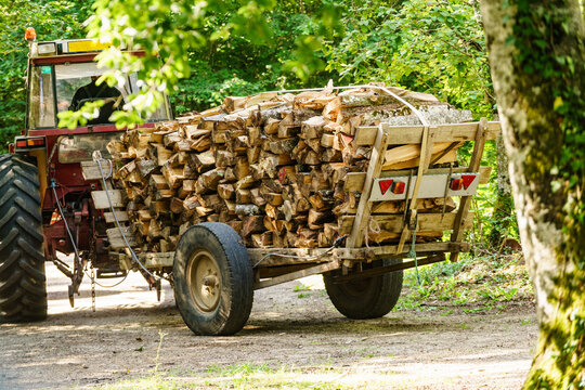 Pile of wood wooden logs on wagon in forest