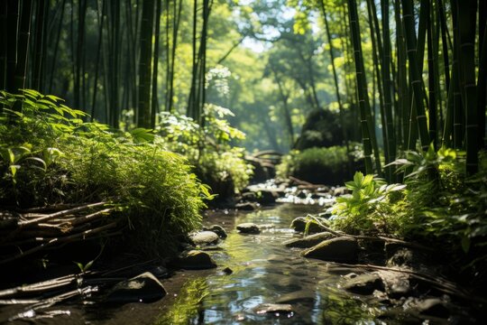 Water flows through bamboo forest creating a serene natural landscape