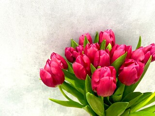 bouquet of bright pink tulips in a vase on a gray background close-up