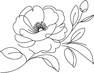 Flower continous line drawing peony