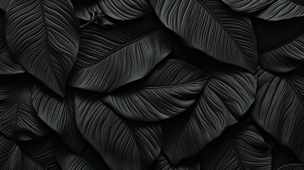 black texture