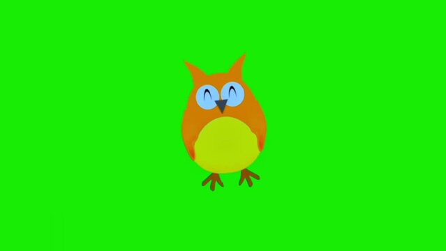 Owl 2D animation Green screen video