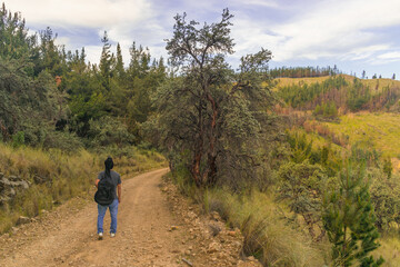 young traveler walking along a mountain trail surrounded by vegetation carrying a guitar on his back