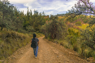 Fototapeta na wymiar young traveler walking along a mountain trail surrounded by vegetation carrying a guitar on his back