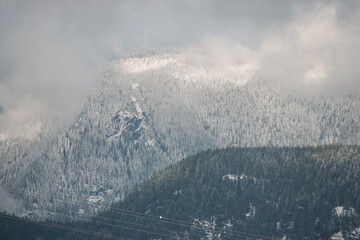 snow covered mountains