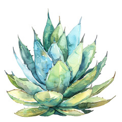 Watercolor Succulent Cactus - 757627635