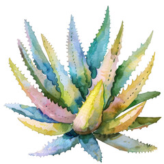 Watercolor Succulent Cactus - 757628013