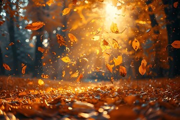Autumn leaves falling in a lively close-up against a vivid backdrop of the setting sun. Autumn leaves on the sun and hazy trees. The beauty of autumn. Autumnal backdrop: A Beautiful Scenery