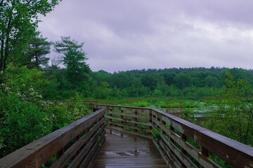 Fototapeta na wymiar wooden bridge over the pond