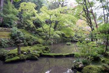 金剛輪寺　庭園の池　滋賀県愛知郡愛荘町