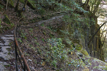 崖っぷちの山道