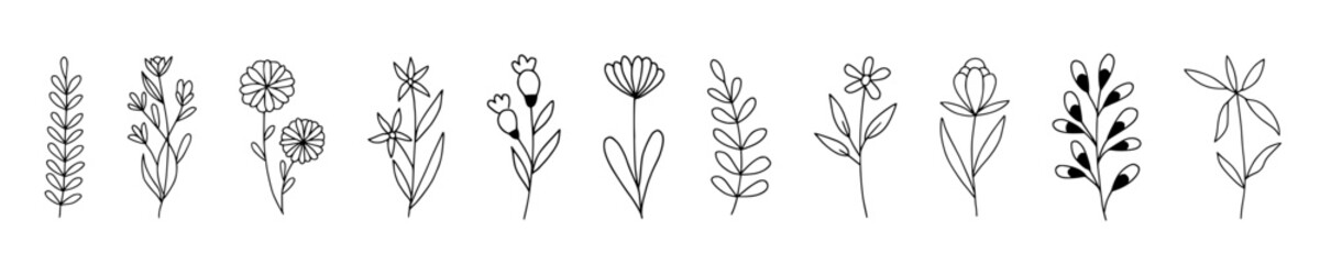 Plant illustration set, flowers and leaves clip art, hand drawn line art sketches, modern isolated doodle collection