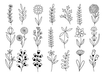 Plant illustration set, flowers and leaves clip art, hand drawn line art sketches, modern isolated doodle collection