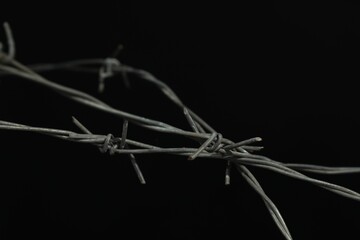 Metal barbed wire on black background, closeup
